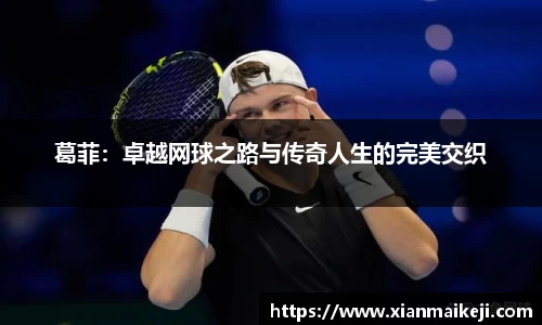 mk体育
