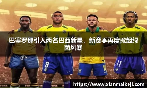 mk体育(MKsports集团)股份公司