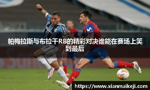 mk体育(MKsports集团)股份公司